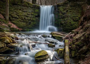 Waterfall in the Forest