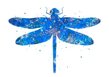 Dragonfly blue