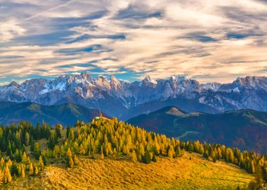 Meadow by the Mountains