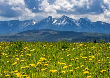 Mountain landscape, Poland