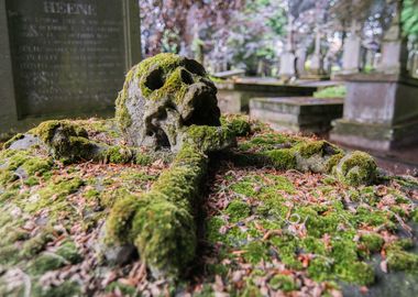 The Cemetery Of The Skull