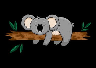 Koala Bear Koalas