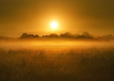 Across the moors