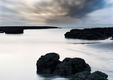 Taiwan Algae Reef Landscap