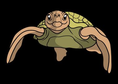 Turtle