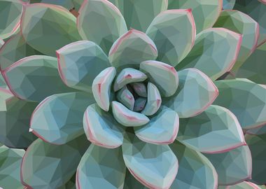 Low Poly Green Succulent