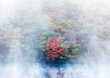 Autumn Lake View in Japan