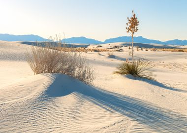 White Sand Evening