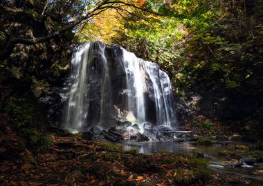 Tazawa Fudaki Falls Japan