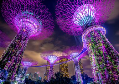 Singapore City Lights Asia