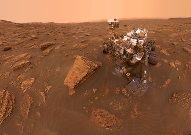 Curiosity Selfie 2018