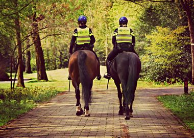 Mounted Police Force