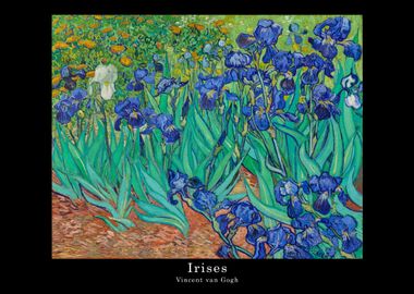 IRISES Vincent van Gogh