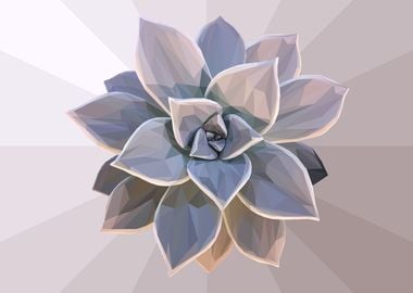 Low Poly Grey Succulent