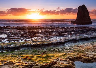 Marine rocks layers Flysch