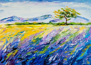 Provence landscape