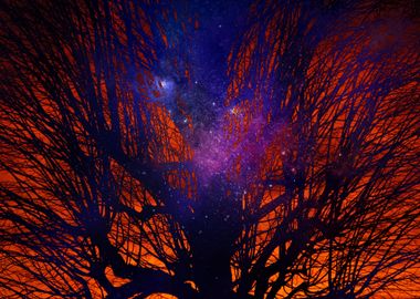 GALAXY TREE