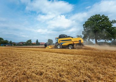 Yellow combine harvester