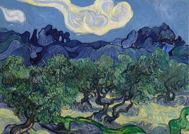 The Olive Trees Van Gogh