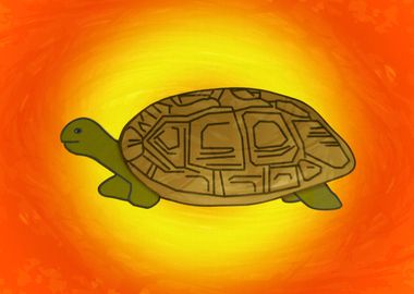 Tortoise