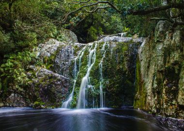 Waterfall in the Forest