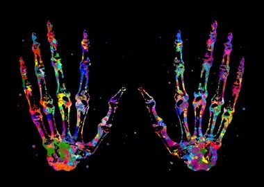 Hand Bones Anatomy