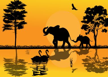 Elephant Animals by Sunset