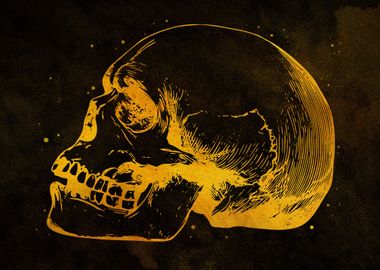 Skull Human Anatomy Gold