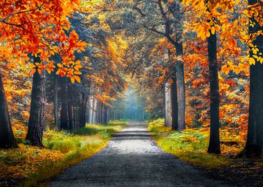 Autumn in Holland