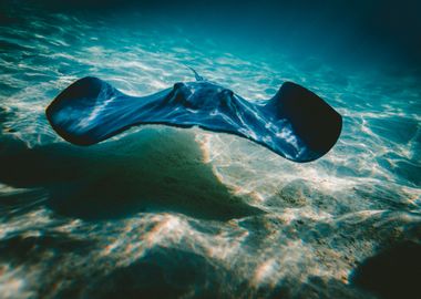 Underwater gliding 