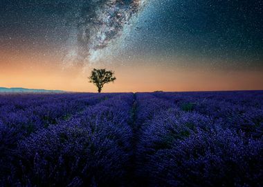 Milky Way In Provence