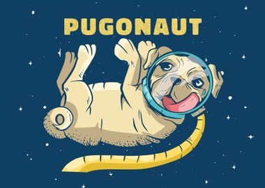 Pugonaut