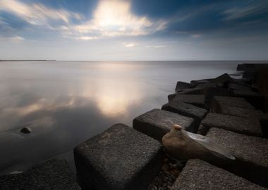 coast landscape taiwan