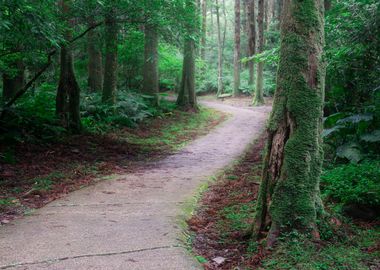 Ecological Walking Trails