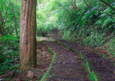 Ecological Walking Trails