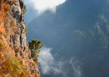 Madeira, island, Portugal