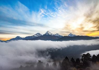 Mountains Forest Nature