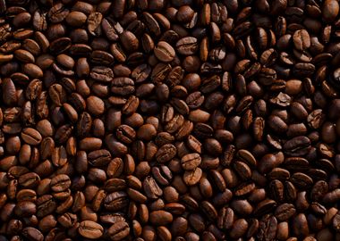 coffee bean background