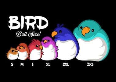 Bird Ball Size Animal Love