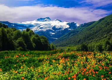 Meadow by Mountains Nautre