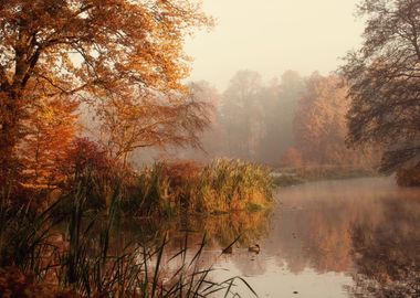 Autumn landscape, Poland