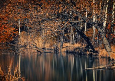 Autumn lake, park, Poland