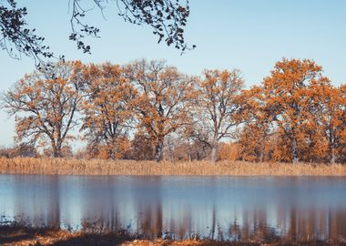 Autumn trees, lake, Poland