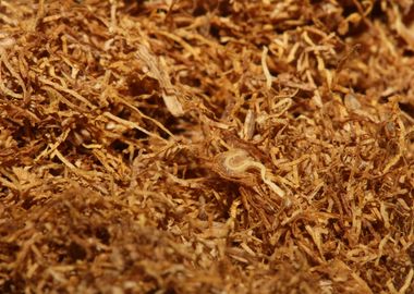 Rolling tobacco background