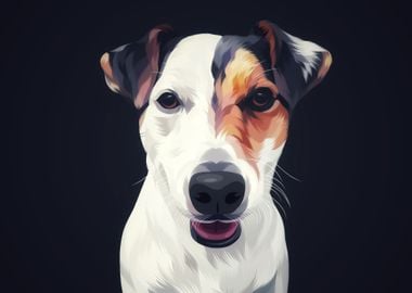 Jack Russell Terrier 4