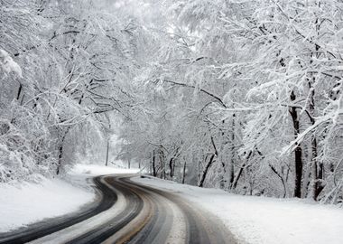 Snow Roads 