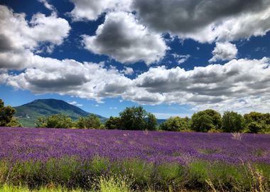 Plateau de Valensol Verdon