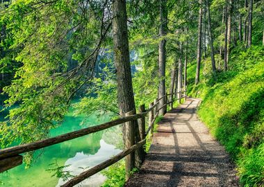 Path By The Lake