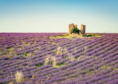 Provence