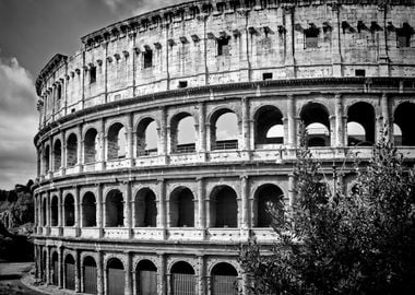 ROME Colosseum